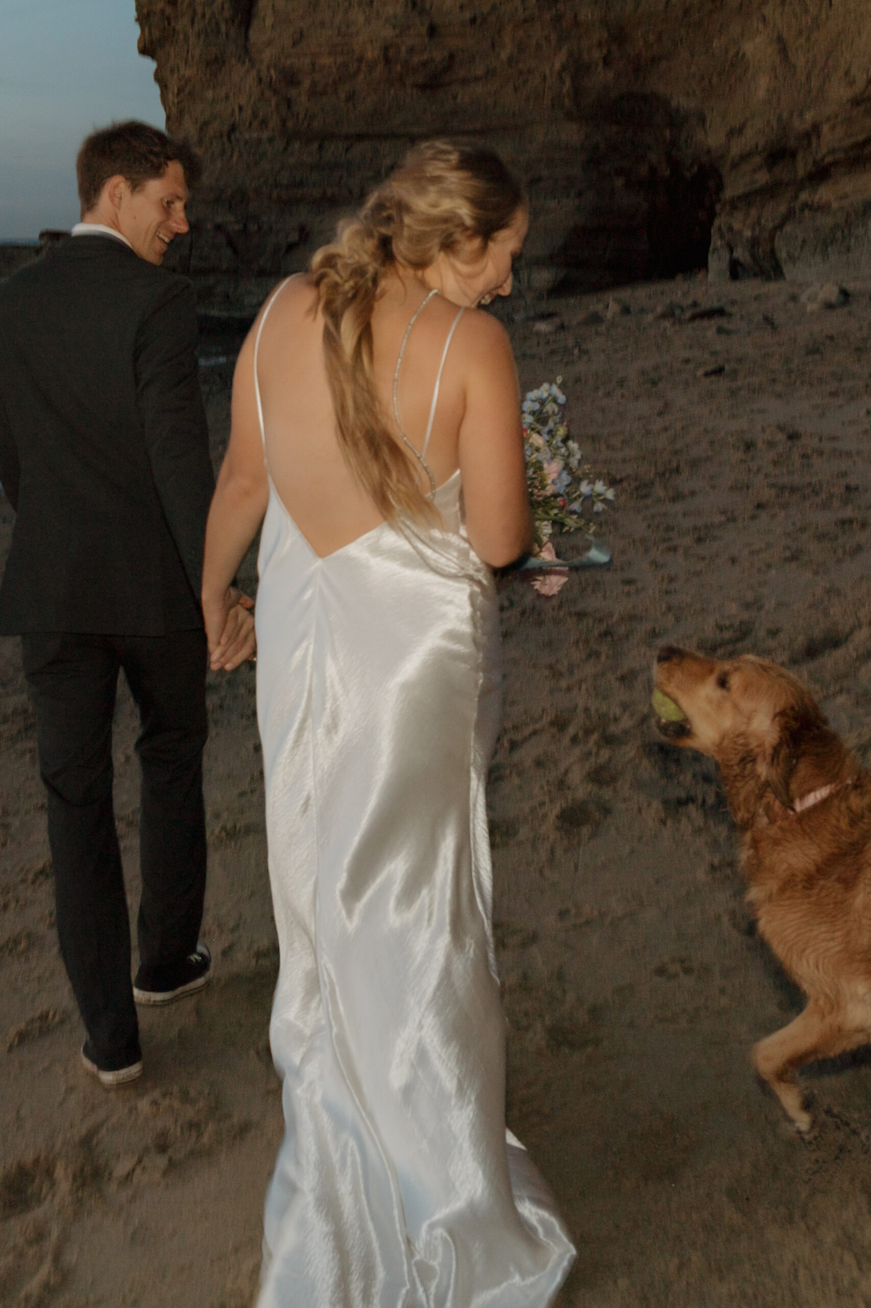 Dog running up to couple with a ball