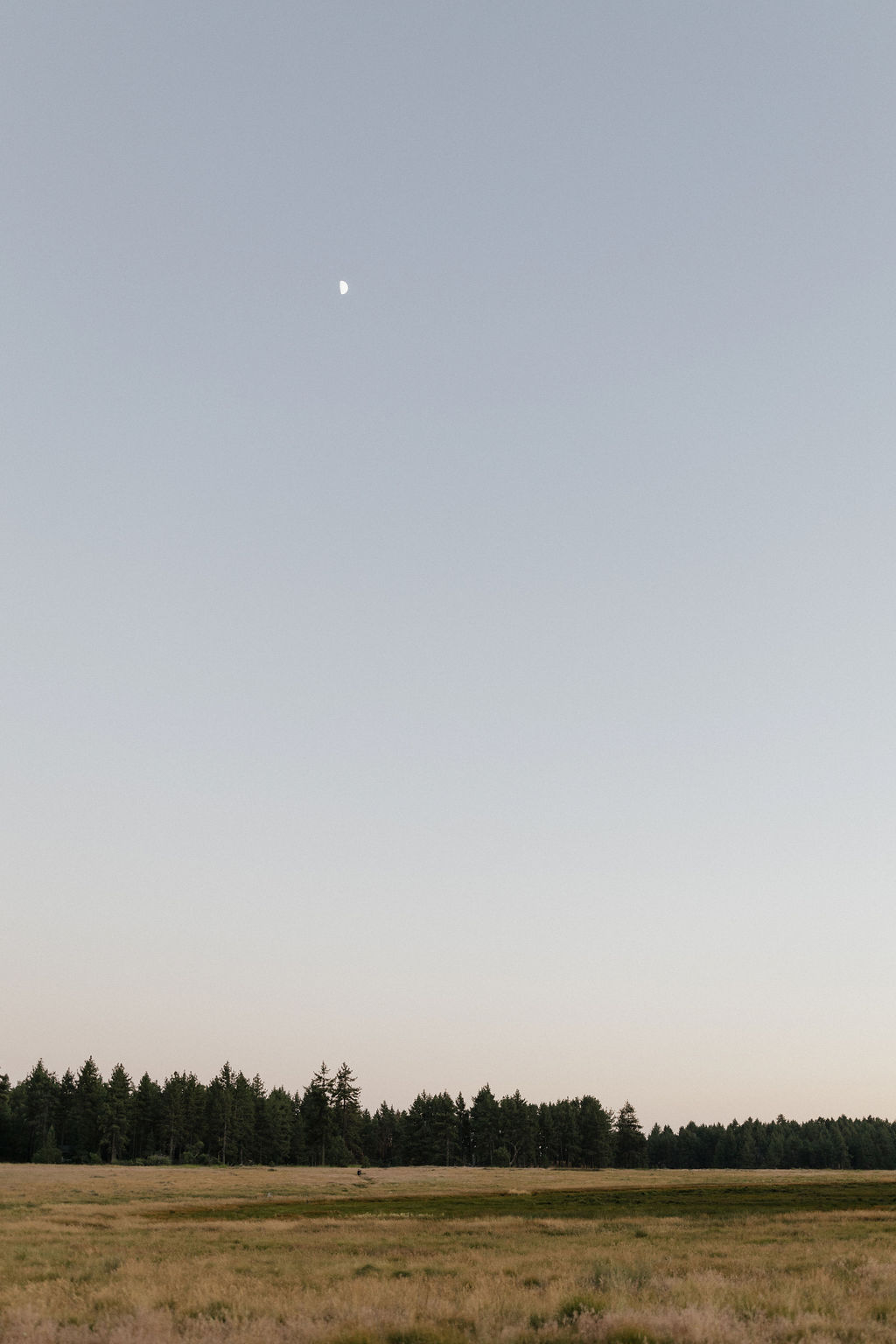 Mountain field and trees with the moon visible