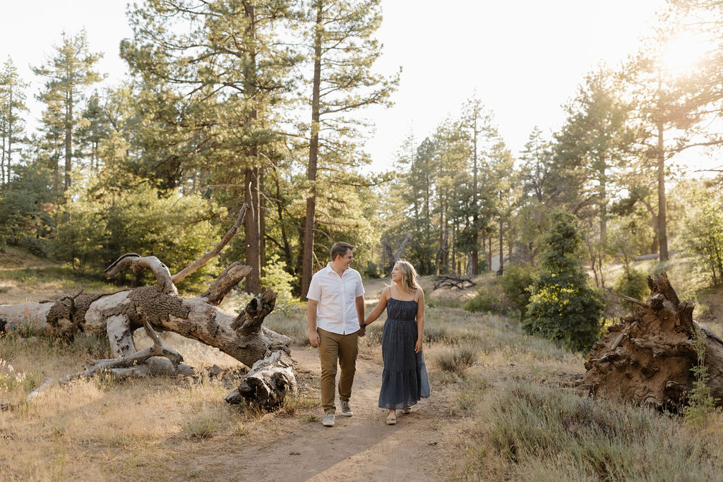 Couple holding hands walking in the forest