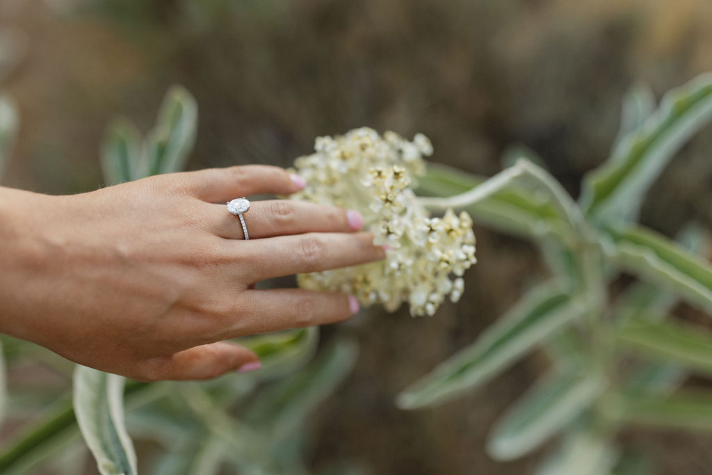 Womans hand with engagement ring on a flower