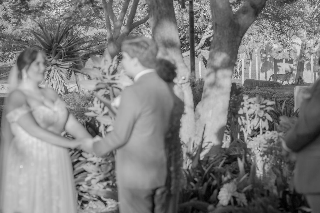 Wedding couple during their ceremony with a cheetah watching in the background. 